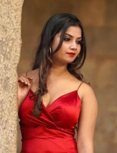 call girl service in Pudupattinam